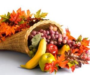 cornucopia basket